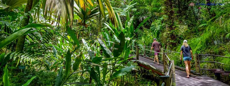 Vườn bách thảo nhiệt đới Hawaii (Hawaii Tropical Bioreserve & Garden)