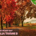 Bảng giá vé máy bay đi Úc tháng 3
