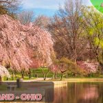 Vé máy bay đi Cleveland (Ohio) giá rẻ