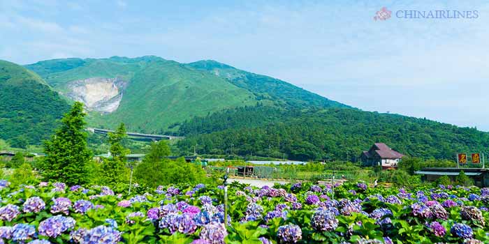 Công viên Yangmingshan