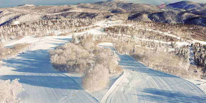 Sapporo Kokusai Ski Resort