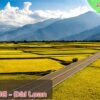 Vé máy bay đi Đài Đông, Đài Loan giá rẻ